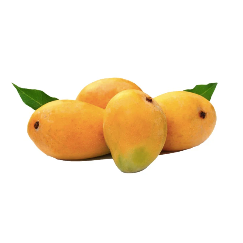 Alphonso Mango